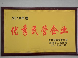 2016年度優(yōu)秀民營企業(yè)