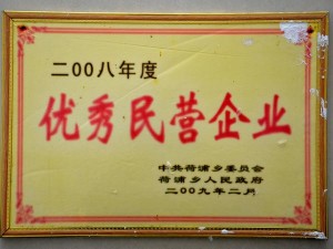 2008年度優(yōu)秀民營(yíng)企業(yè)